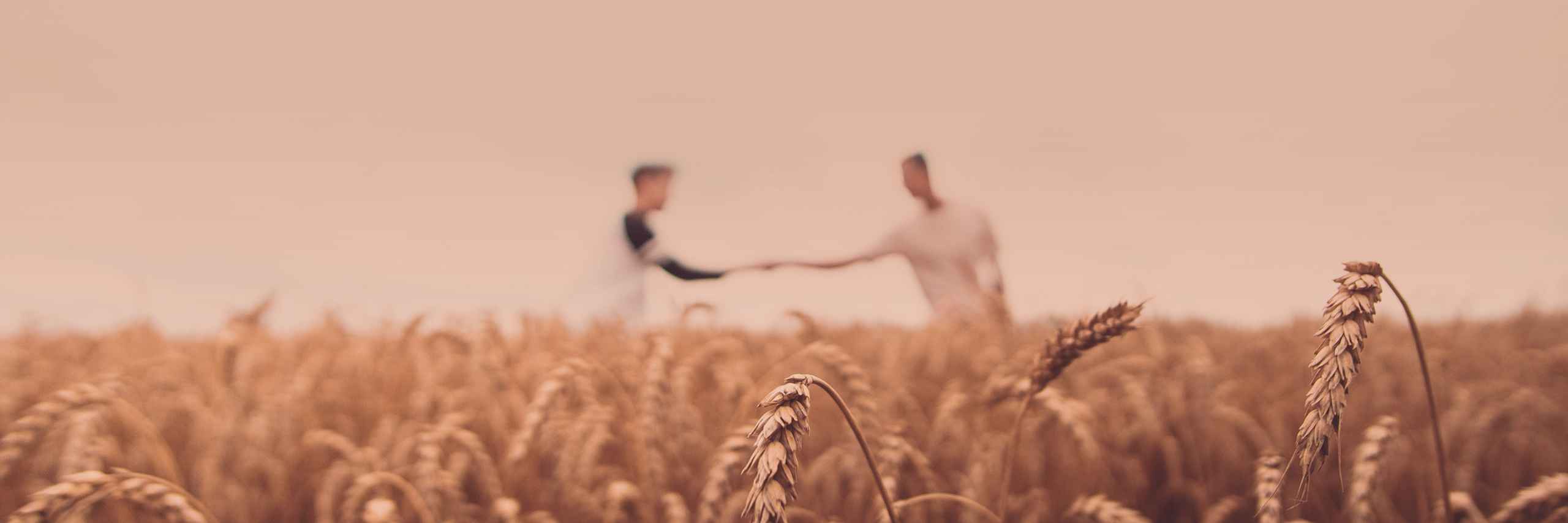 Dávid Lindák header image