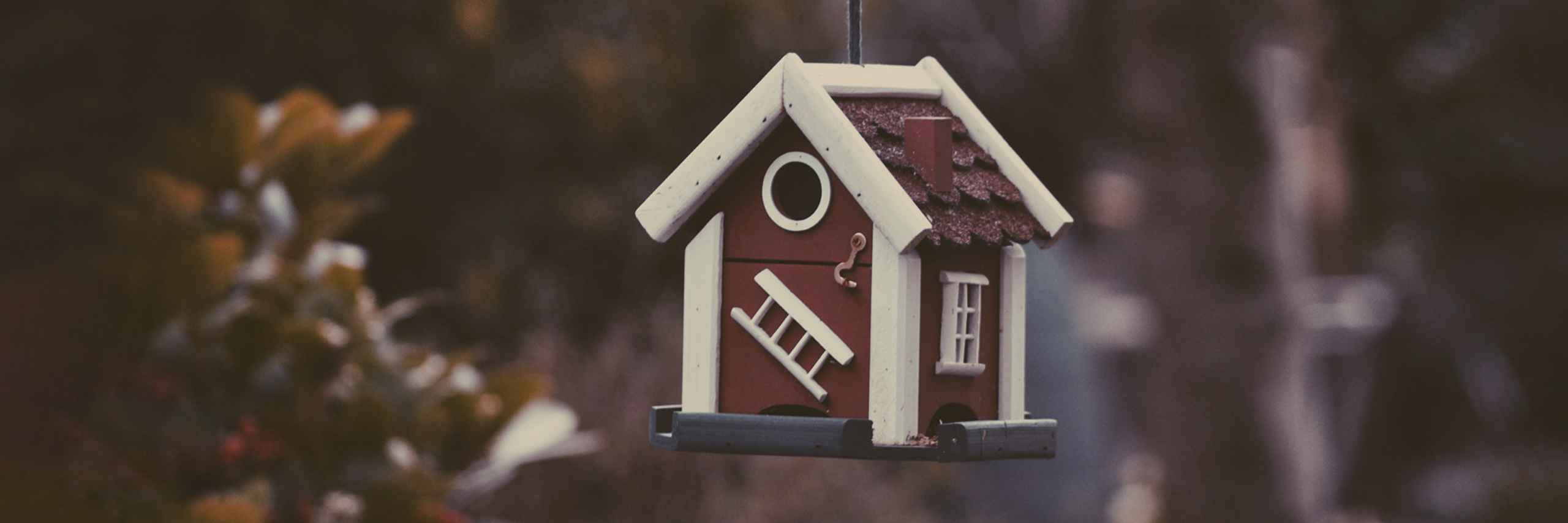 Dávid Lindák header image